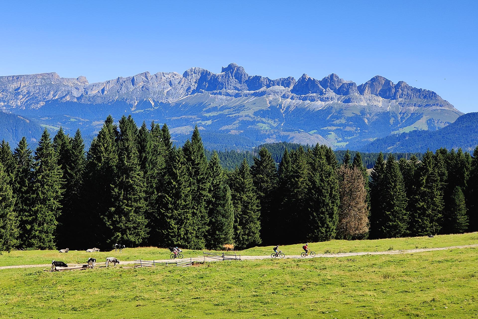Anello gravel dalla val d'Ega a Passo degli Oclini