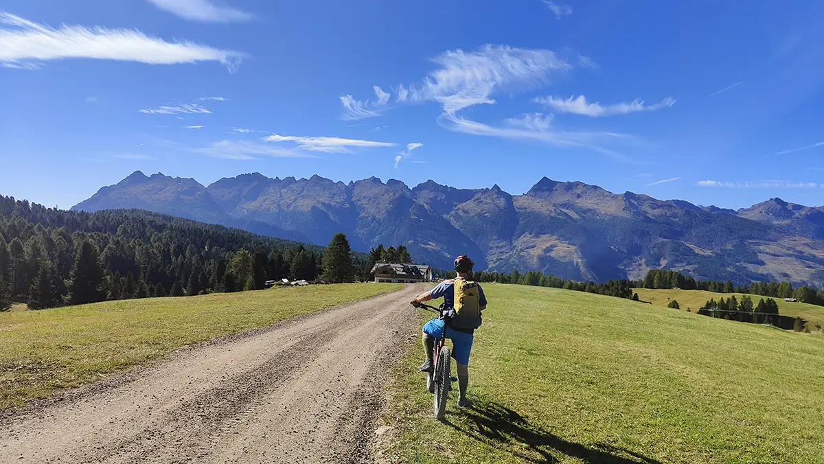 mtb paneveggio pale di s martino lagorai
