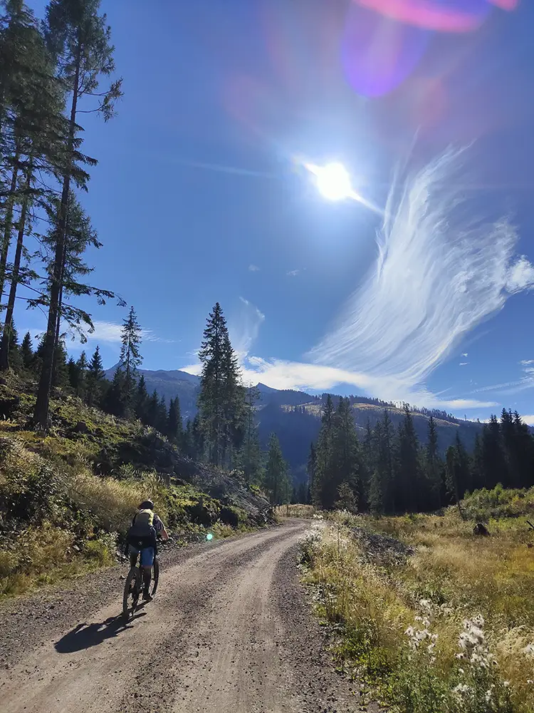 mtb paneveggio pale di s martino forestale paneveggio
