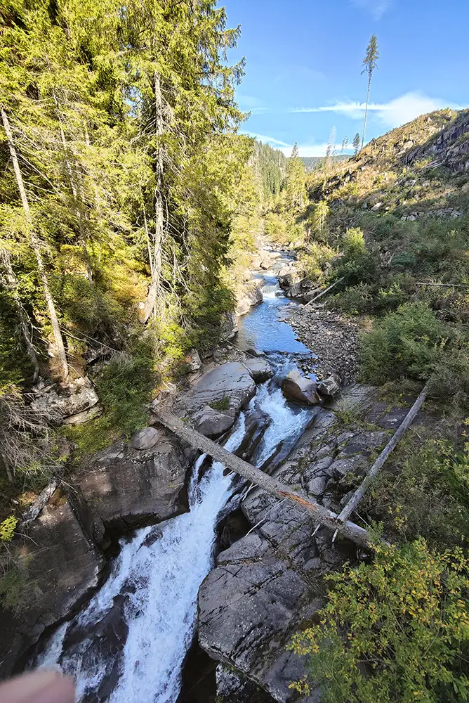 mtb paneveggio pale di s martino torrente travignolo