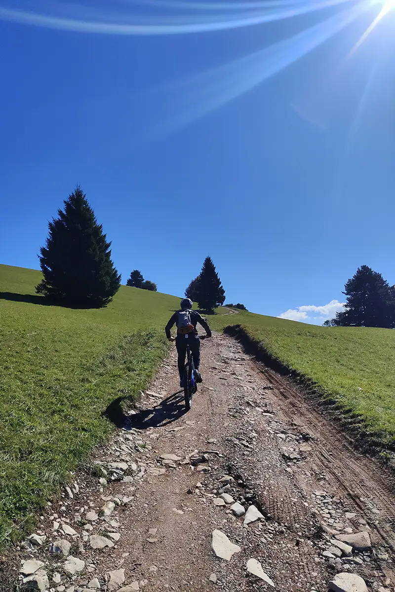 monte casale meadows