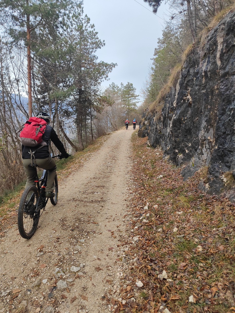 zugna 115 forestale salita