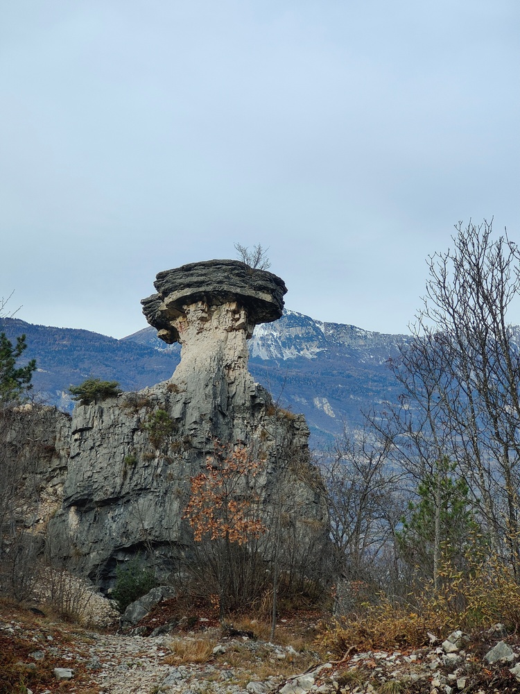 zugna 115 fungo albaredo