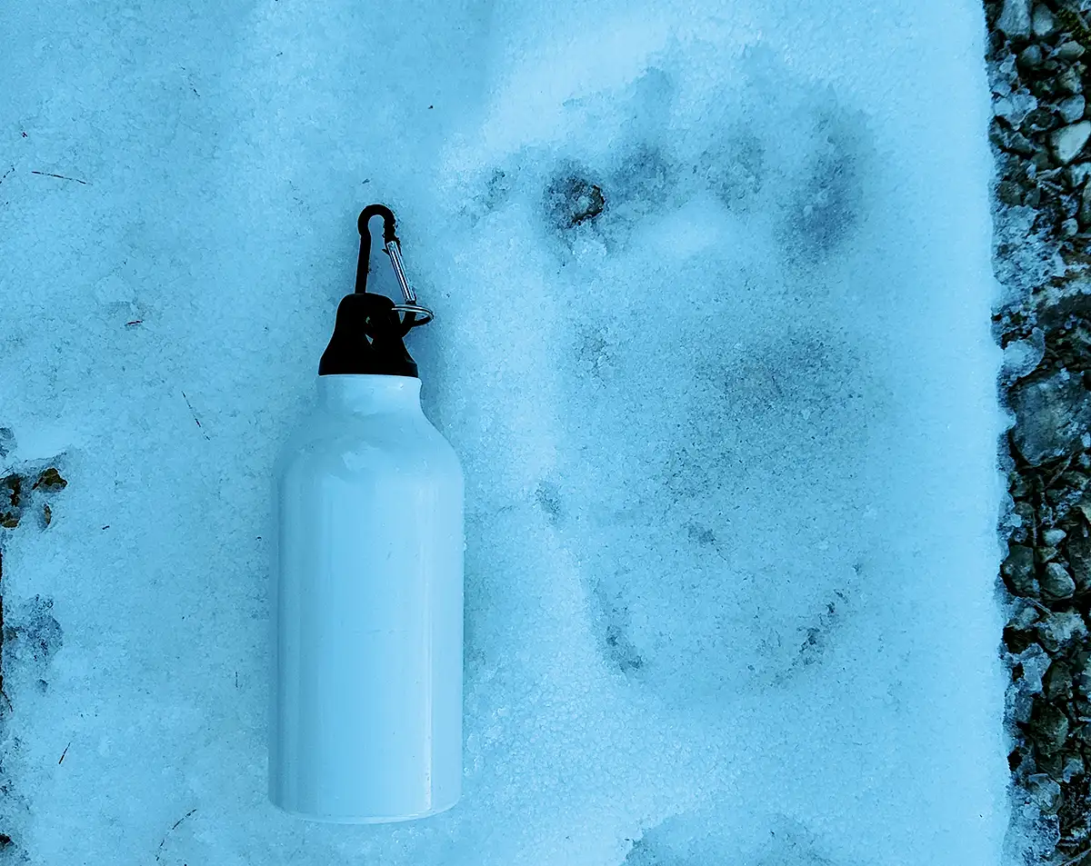 drena monte velo mtb orso