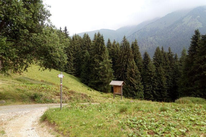 mtb bienno