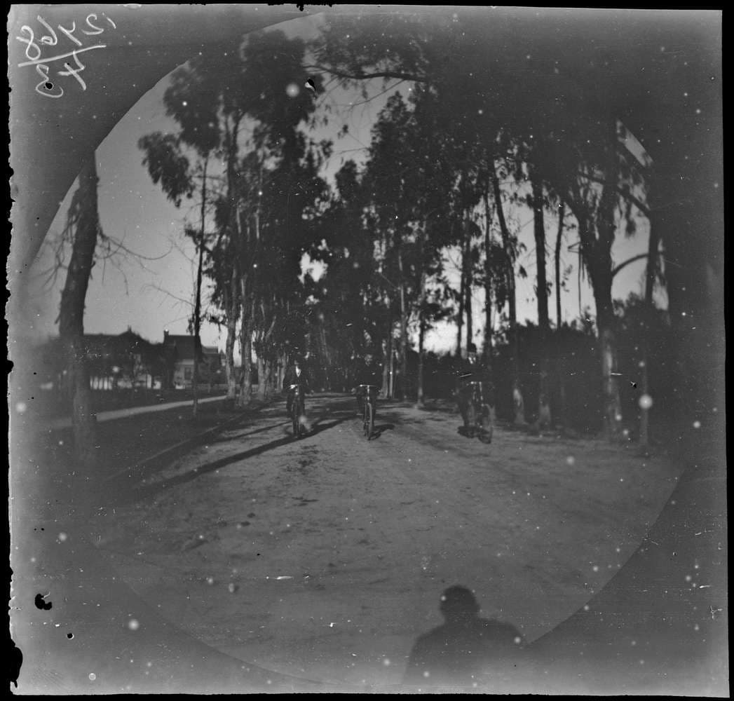 03 uomini in bici sachtleben allen