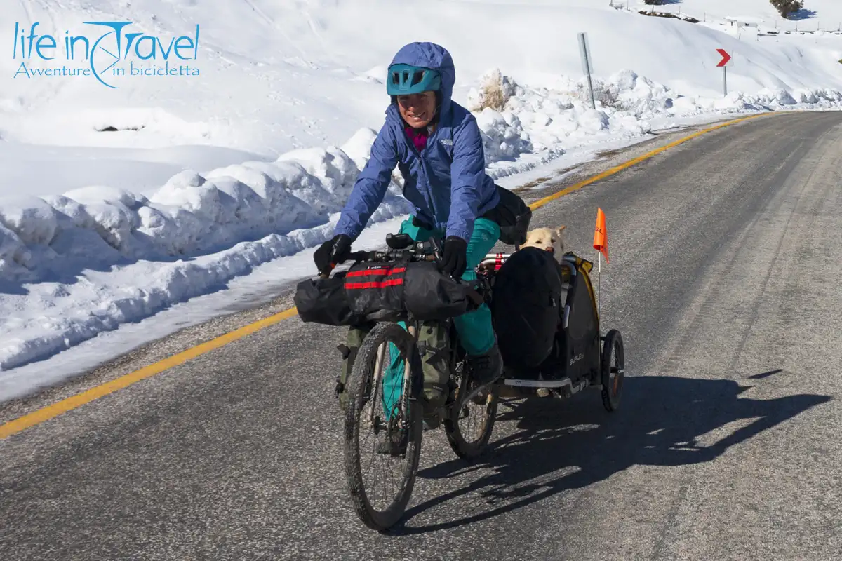 viaggio in bici con il cane