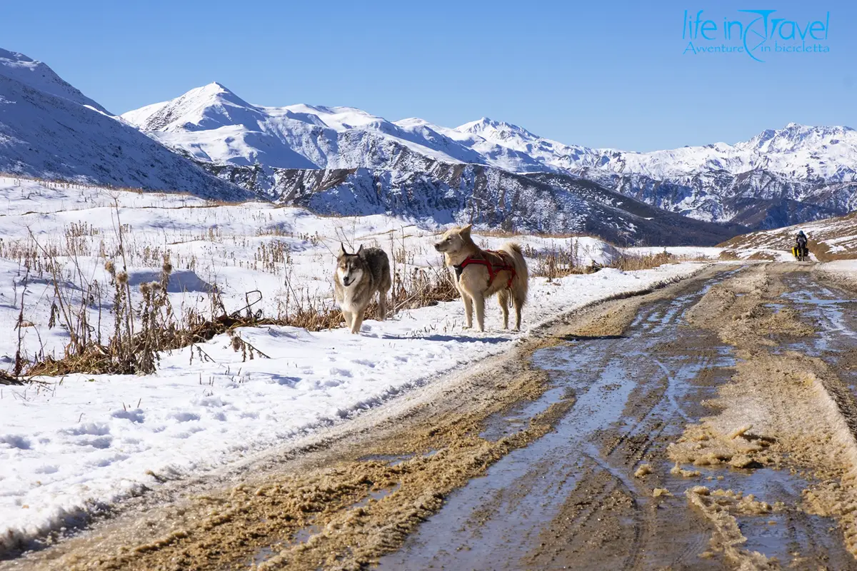 10 occhi di ghiaccio e nala svaneti