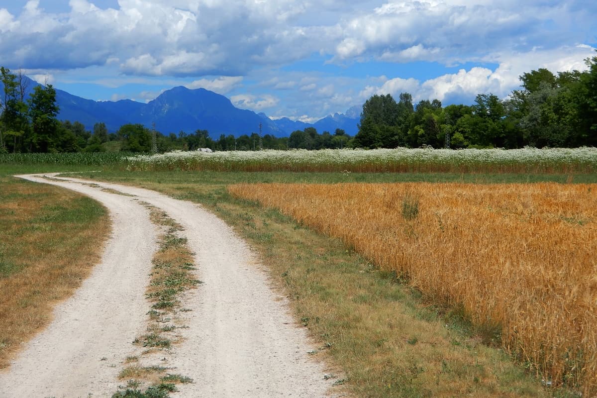 47   Ciclabile Sinistra Piave