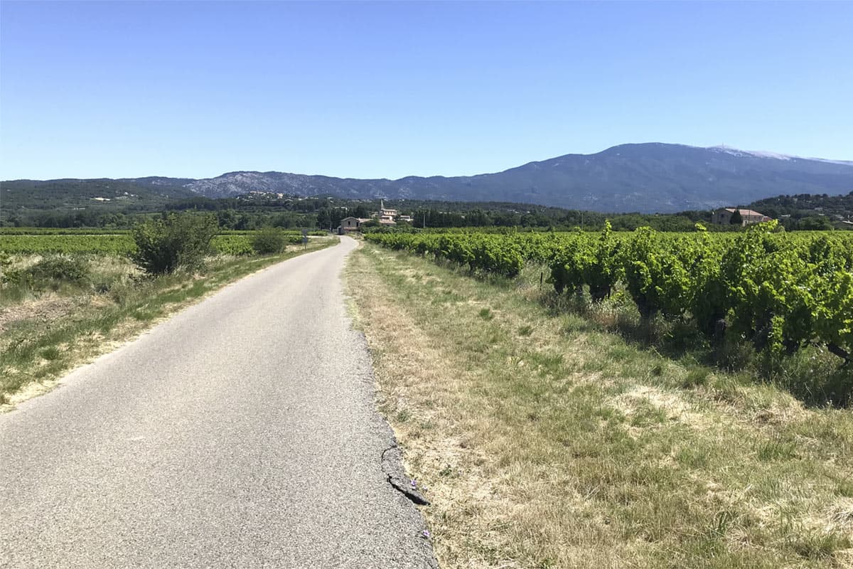 DAY1 fra i vigneti verso il mont ventoux