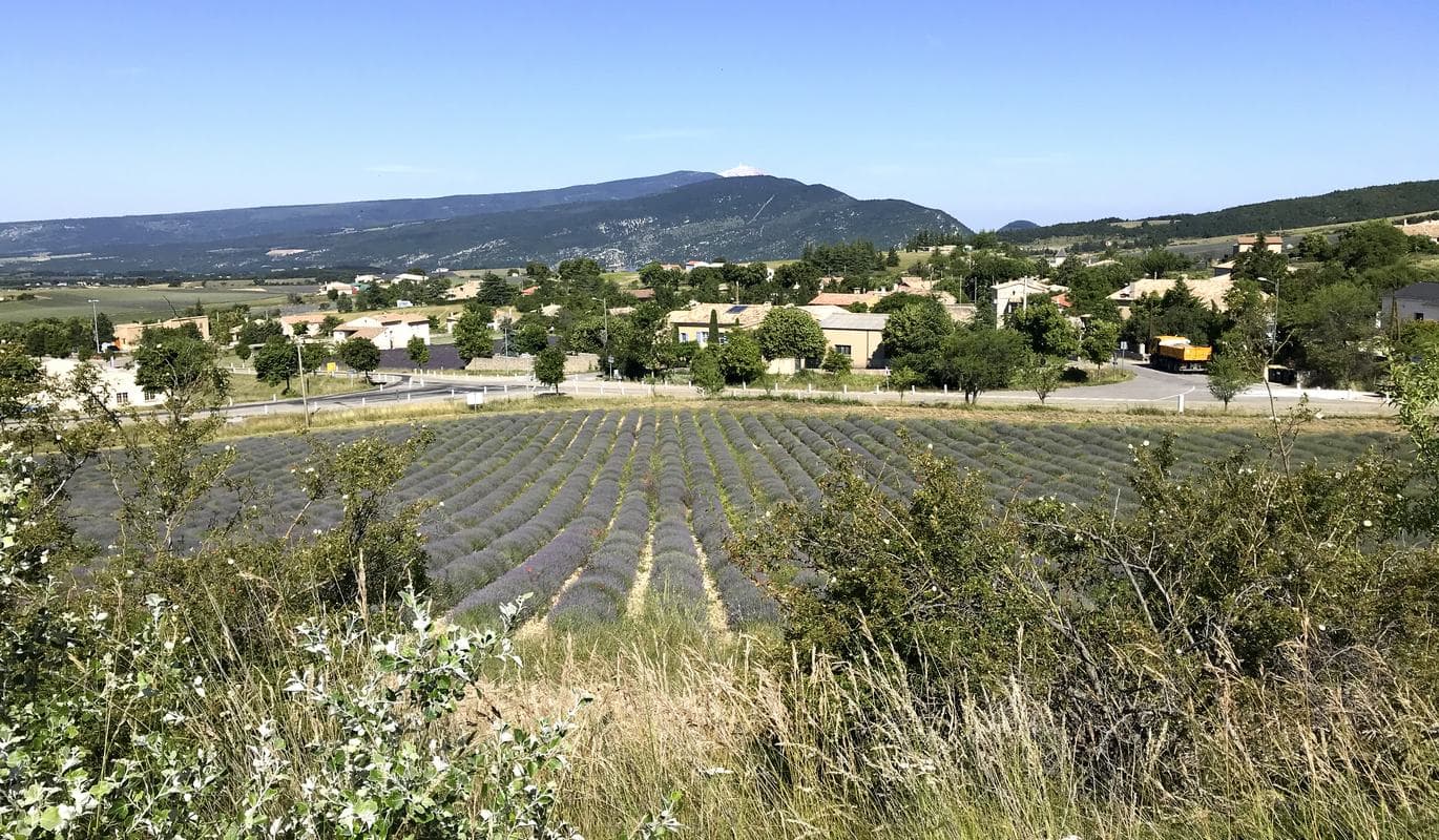 DAY2 Lavanda e Mont Ventoux all'orizzonte