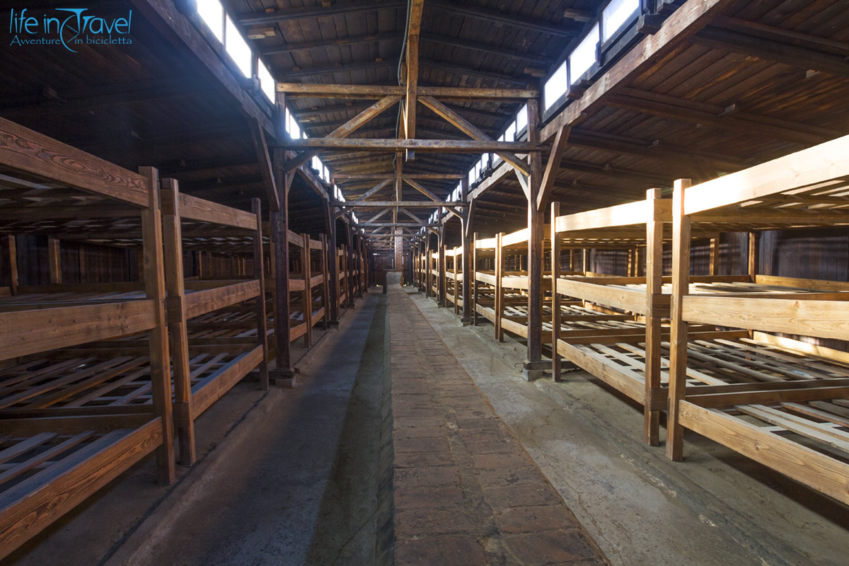 26 Auschwitz birkenau dormitori