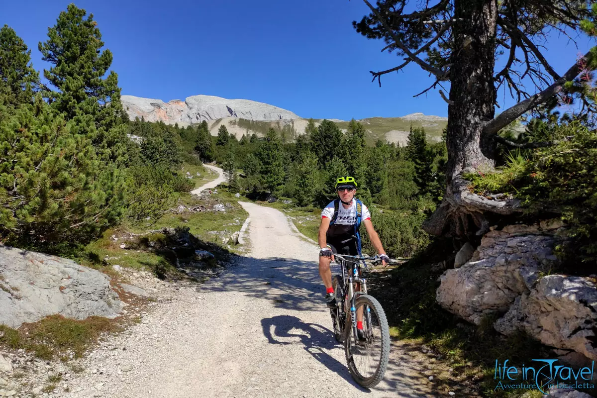 discesa lungo il giro dei 5 rifugi MTB