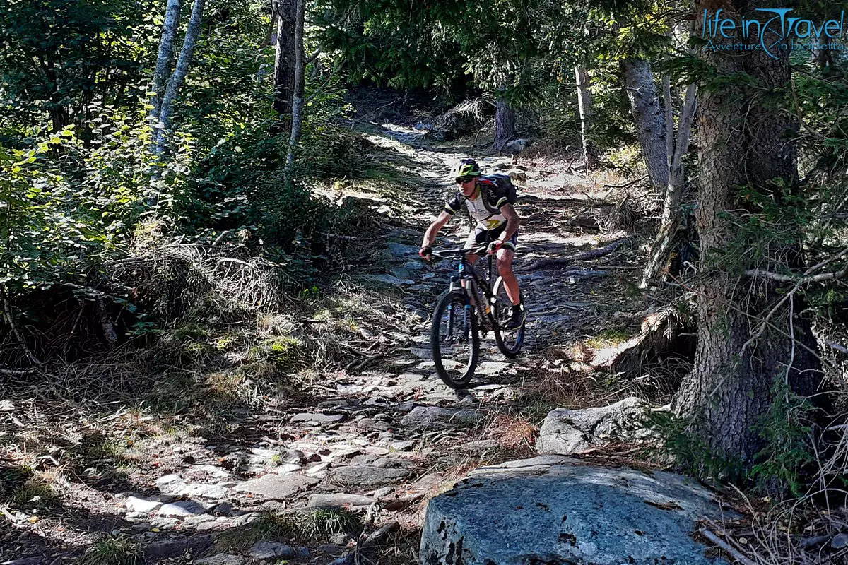 12 Mountain bike Valtellina acciottolato