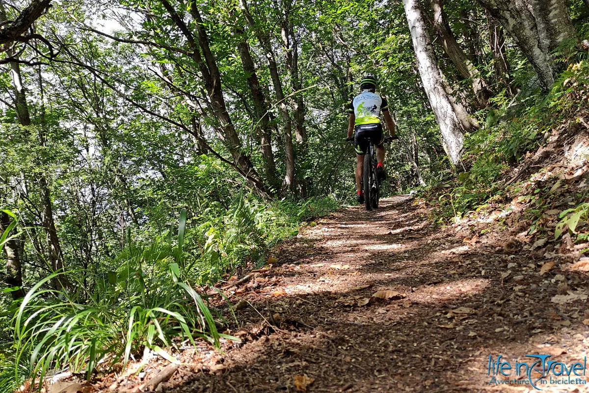 SENTIERO DEL TRACCIOLINO MTB castagneto