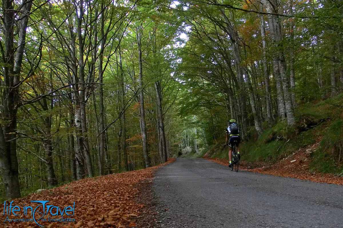 val trebbia val staffora bici da strada