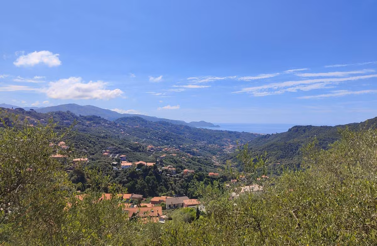 leivi panorama