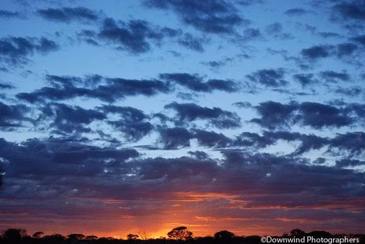 Alba nel Gibson Desert