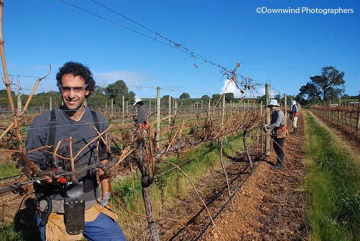 Lavorare in agricoltura in Australia Lavorare in Australia