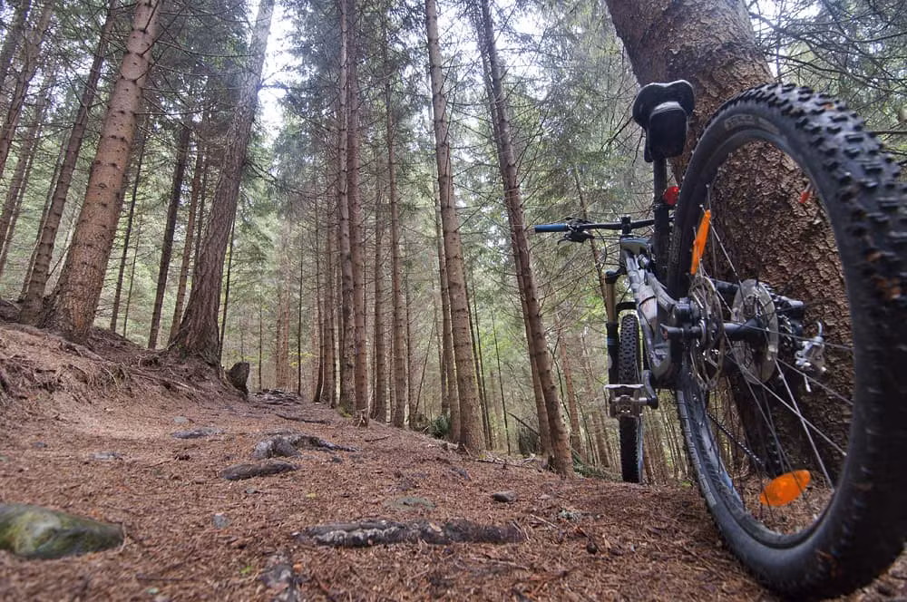Valle Salus in bici