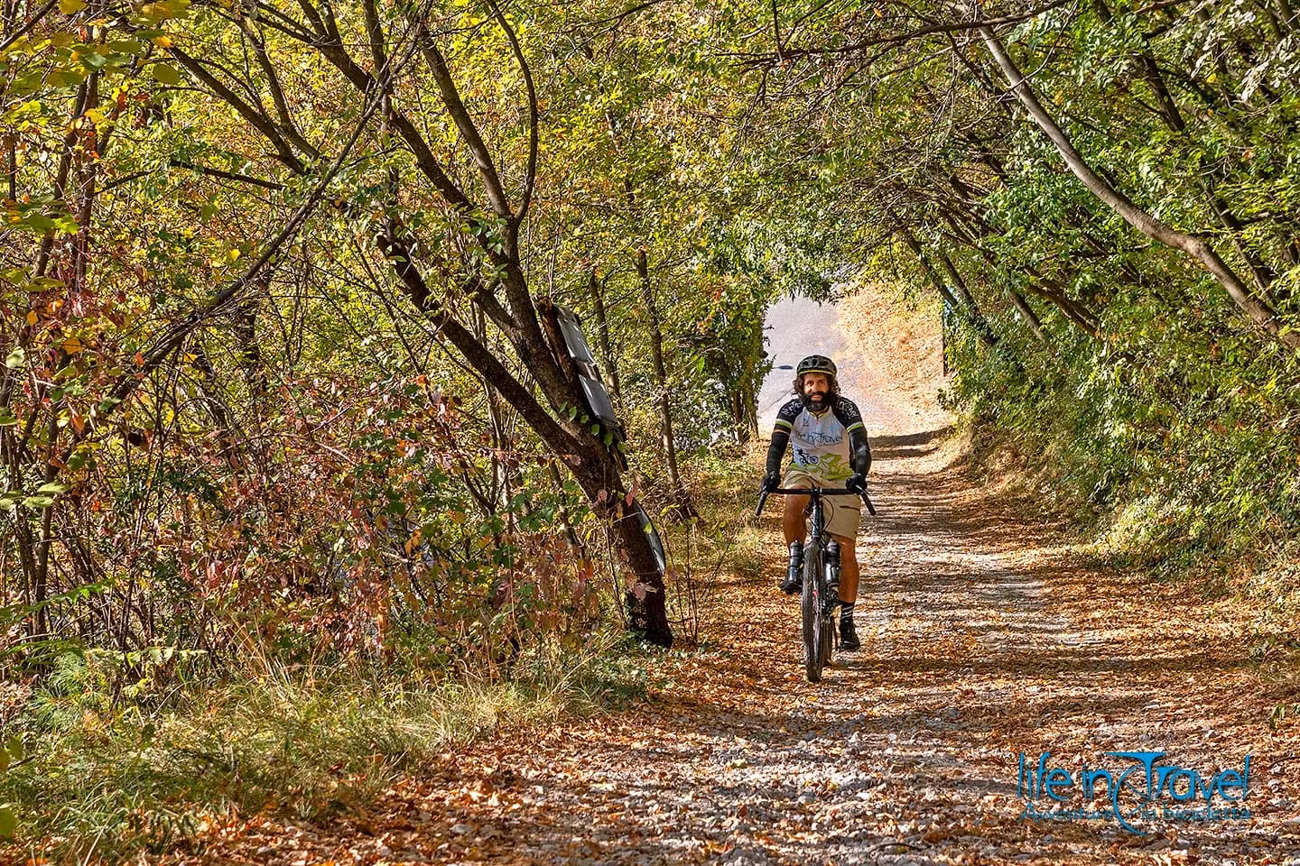 Best Gravel Bikes