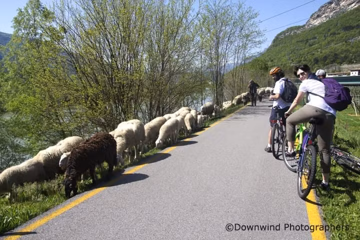 Trento - Rovereto in bici: lungo l'Adige per invadere il Mart