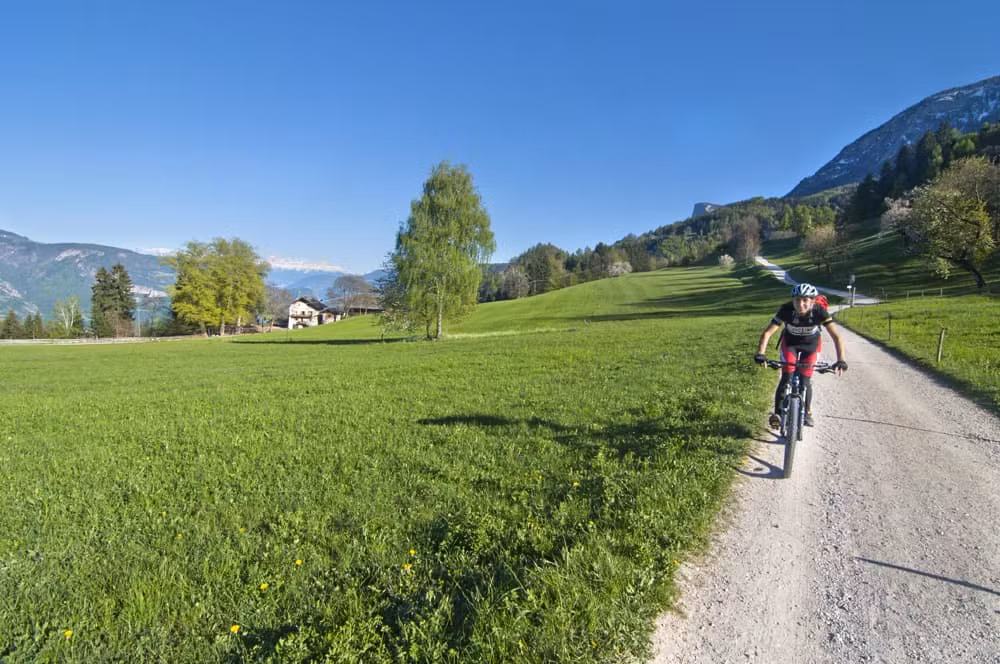 Vigneti dell'Alto Adige in bici