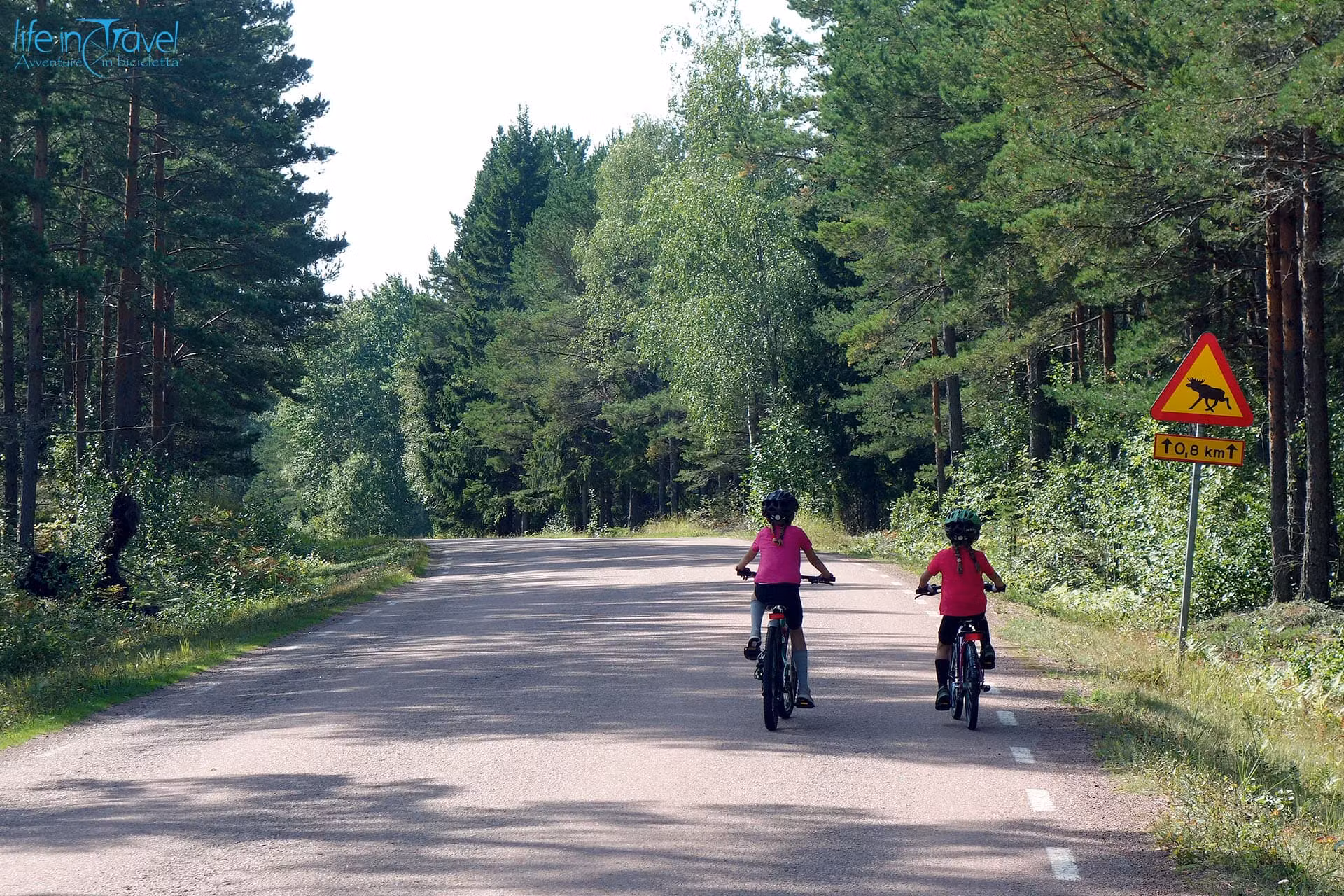 Bimbi in bici