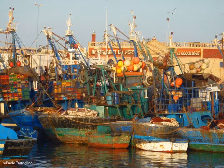 Pescherecci in Marocco