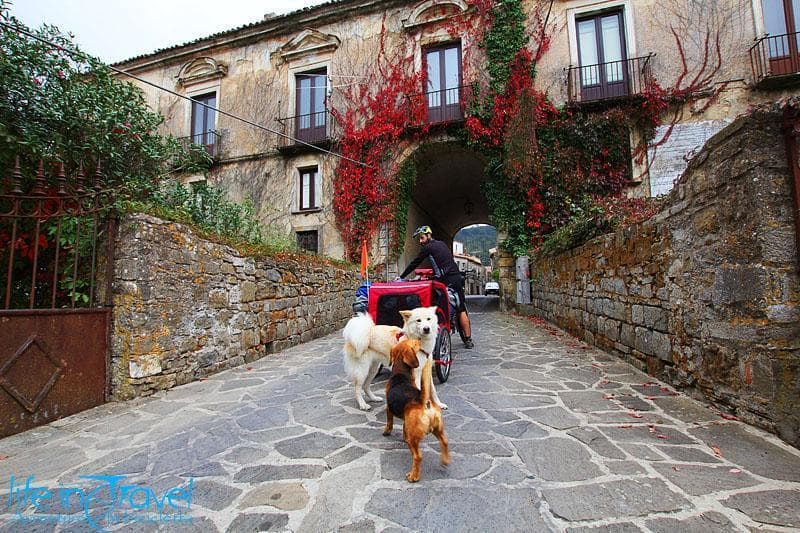 viaggiare in bici incontro cani