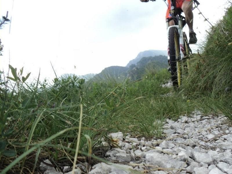 mtb divertimento