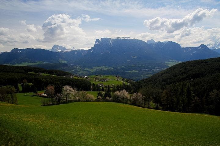 pano sciliar