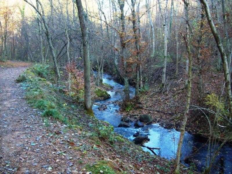 Ciclabile Valganna