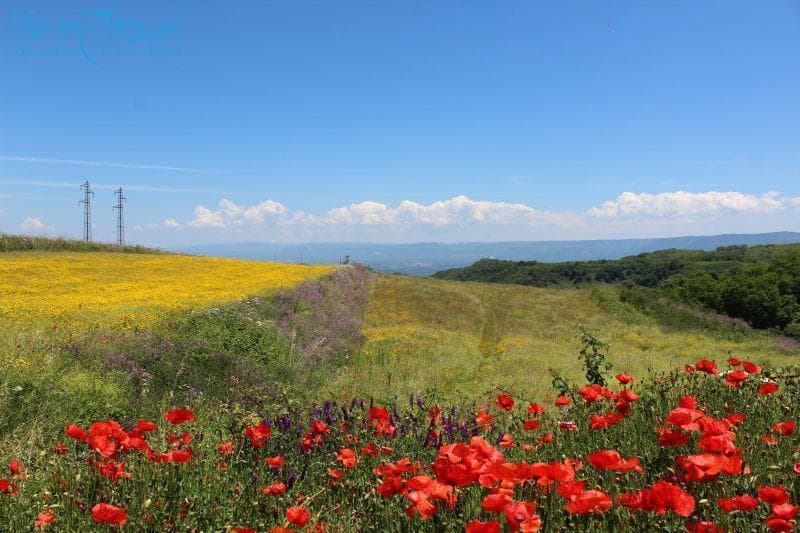 Calabria