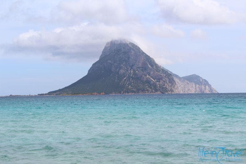 Sardegna Isola Tavolara