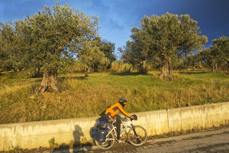abruzzo ulivi tramonto