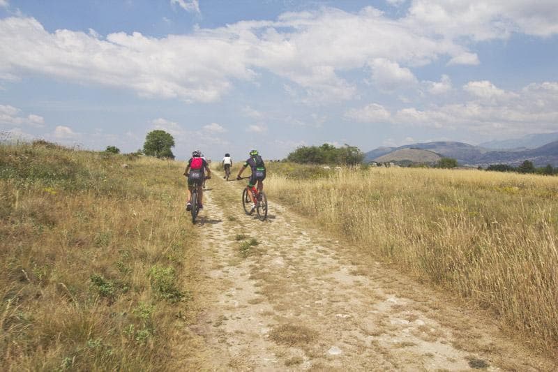 tratturo inbici