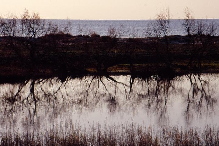 Riflessi in Corsica