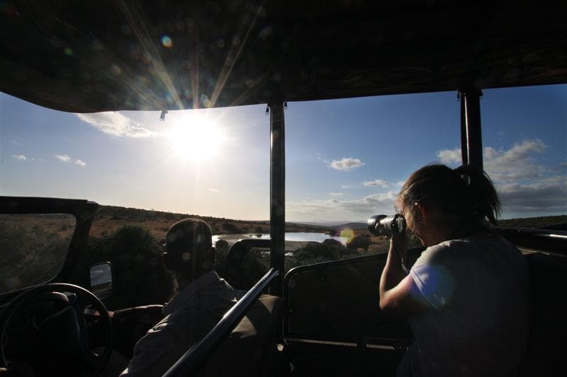 safari addo national park