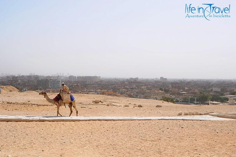 il cairo sul cammello