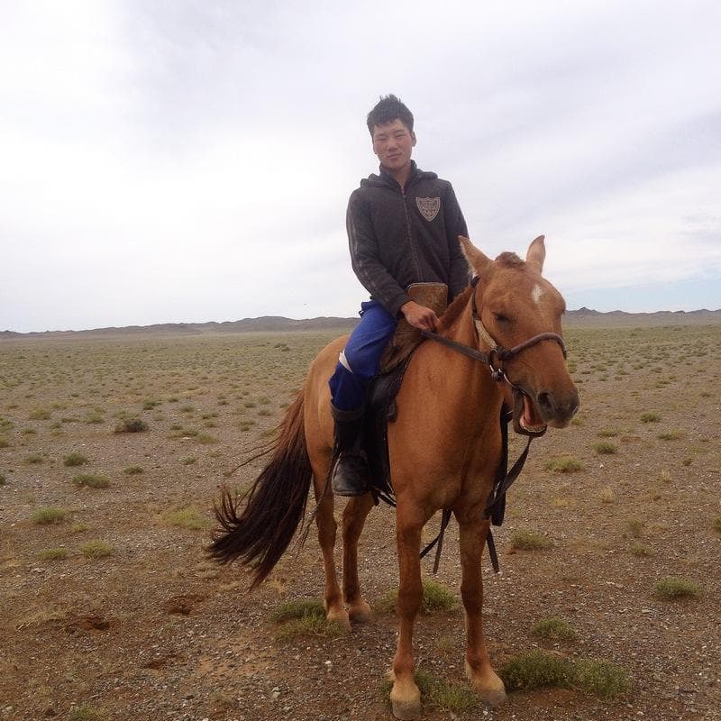 nomade del gobi