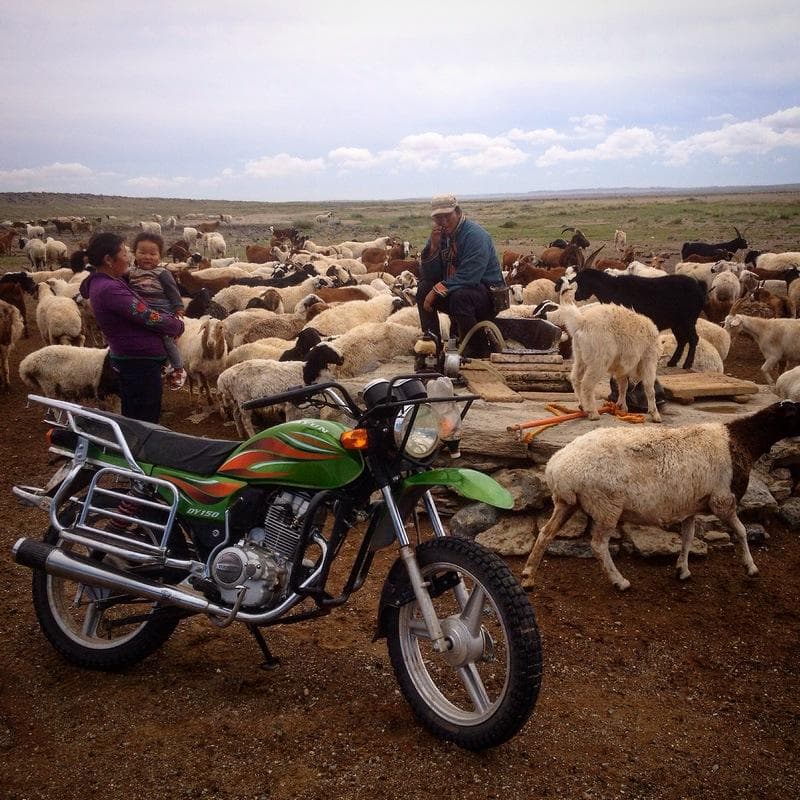 nomadi deserto gobi