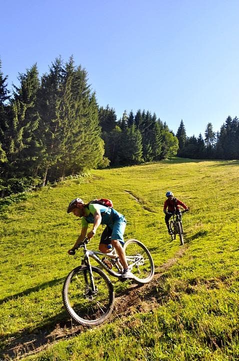 alpbach niederau 10