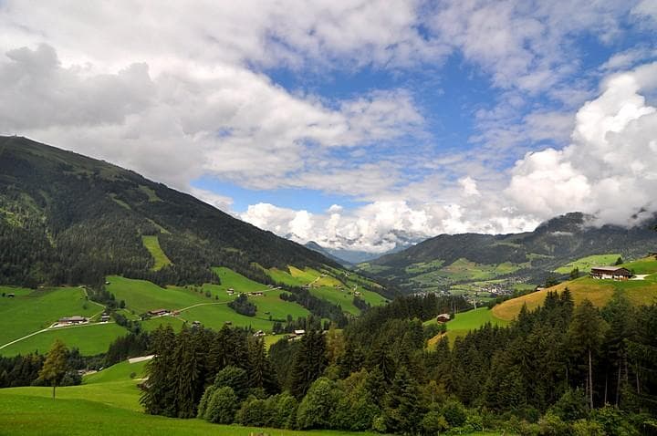 alpbach niederau 2