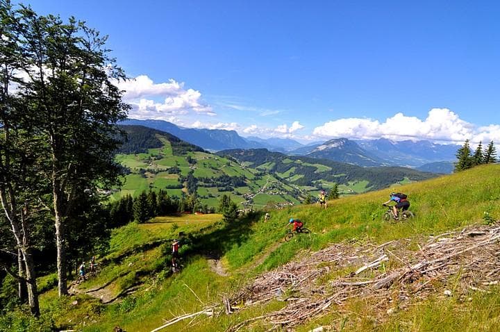 alpbach niederau 9