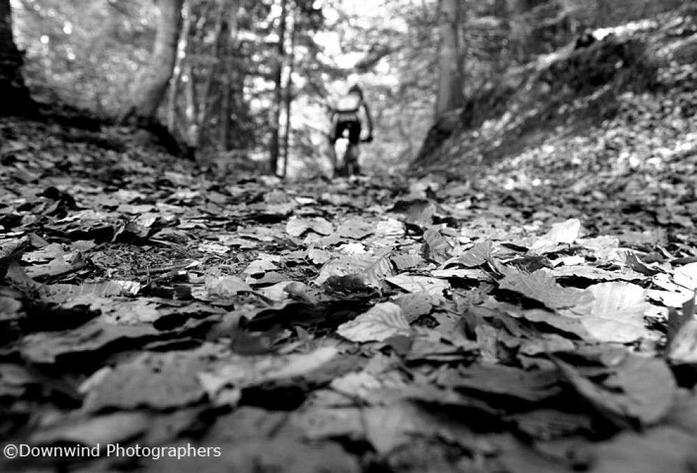 Nel bosco in mountain bike