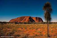 Uluru nell&#039;outback australiano